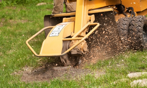 Stump Grinding