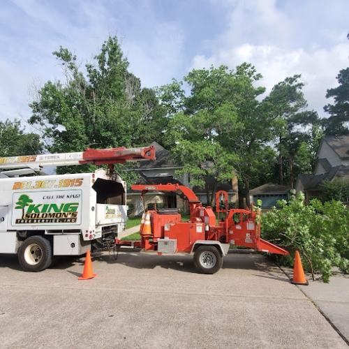Tree Services